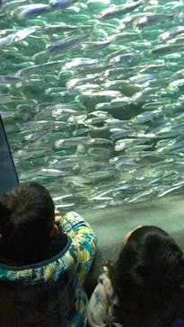 サンシャイン水族館に投稿された画像（2020/12/20）