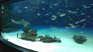 サンシャイン水族館に投稿された画像（2020/12/20）