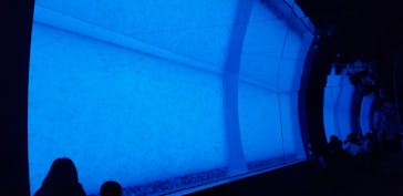 アクアワールド茨城県大洗水族館に投稿された画像（2020/12/20）