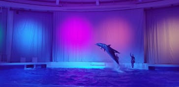 アクアワールド茨城県大洗水族館に投稿された画像（2020/12/20）