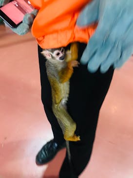 那須ワールドモンキーパークに投稿された画像（2020/12/20）