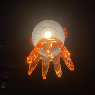 京都水族館に投稿された画像（2020/12/20）