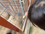 しろとり動物園に投稿された画像（2020/12/20）