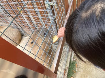 しろとり動物園に投稿された画像（2020/12/20）