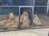 しろとり動物園に投稿された画像（2020/12/20）