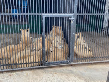 しろとり動物園に投稿された画像（2020/12/20）