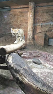 那須どうぶつ王国に投稿された画像（2020/12/20）