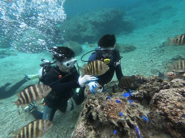 武藤潜水に投稿された画像（2020/12/20）