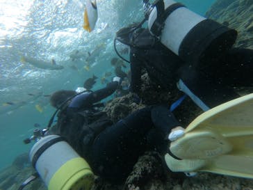 武藤潜水に投稿された画像（2020/12/20）