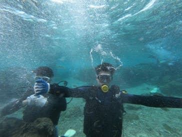武藤潜水に投稿された画像（2020/12/20）