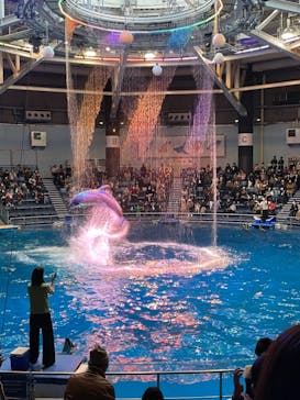 マクセル アクアパーク品川に投稿された画像（2020/12/20）