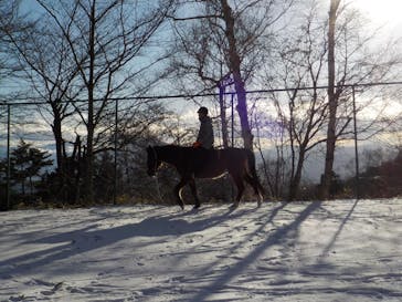 天狗温泉浅間山荘に投稿された画像（2020/12/20）
