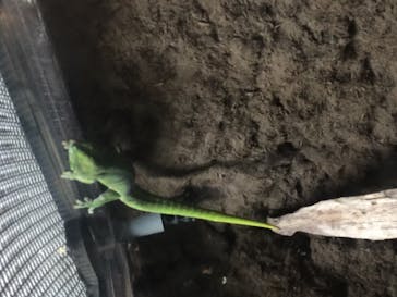 マクセル アクアパーク品川に投稿された画像（2020/12/20）