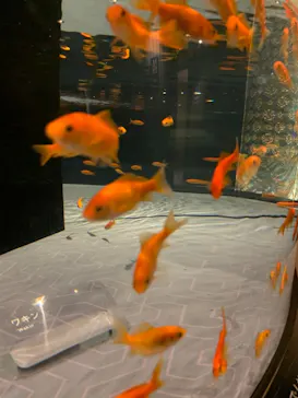 すみだ水族館に投稿された画像（2020/12/20）