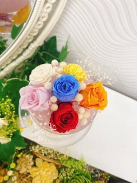 ずこうしつ〜sugamo〜に投稿された画像（2020/12/20）