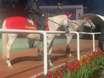 東京メガイルミに投稿された画像（2020/12/20）