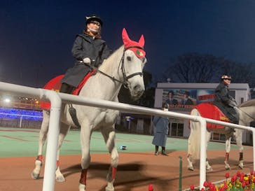 東京メガイルミに投稿された画像（2020/12/20）