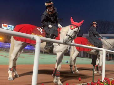 東京メガイルミに投稿された画像（2020/12/20）