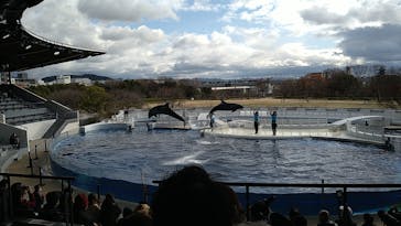 京都水族館に投稿された画像（2020/12/20）