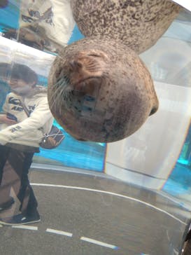 京都水族館に投稿された画像（2020/12/20）