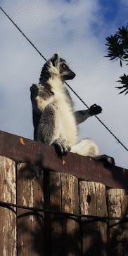 神戸どうぶつ王国に投稿された画像（2020/12/20）