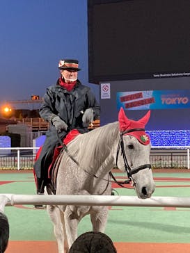 東京メガイルミに投稿された画像（2020/12/20）