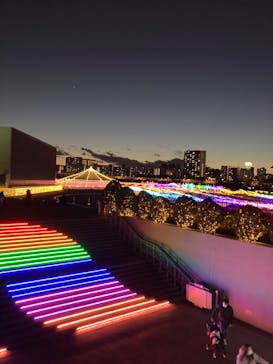東京メガイルミに投稿された画像（2020/12/20）
