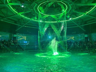 マクセル アクアパーク品川に投稿された画像（2020/12/20）