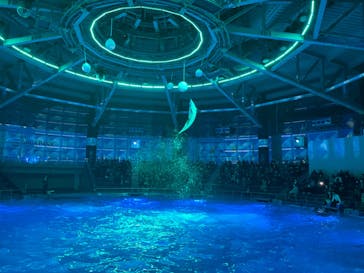 マクセル アクアパーク品川に投稿された画像（2020/12/20）