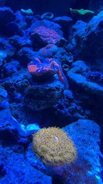 マクセル アクアパーク品川に投稿された画像（2020/12/20）