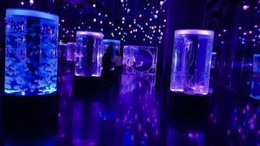 マクセル アクアパーク品川に投稿された画像（2020/12/20）