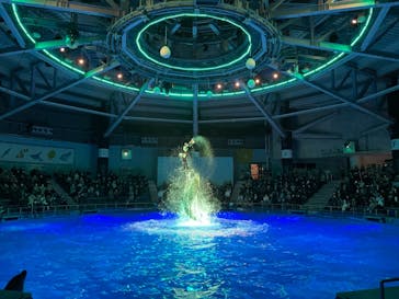 マクセル アクアパーク品川に投稿された画像（2020/12/20）