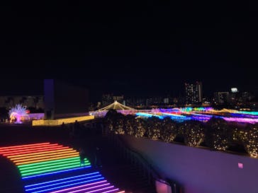 東京メガイルミに投稿された画像（2020/12/20）