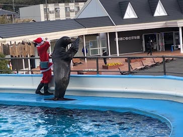 南知多ビーチランド＆南知多おもちゃ王国に投稿された画像（2020/12/20）