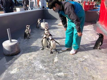 南知多ビーチランド＆南知多おもちゃ王国に投稿された画像（2020/12/20）