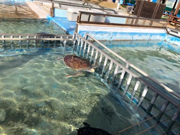 南知多ビーチランド＆南知多おもちゃ王国に投稿された画像（2020/12/20）