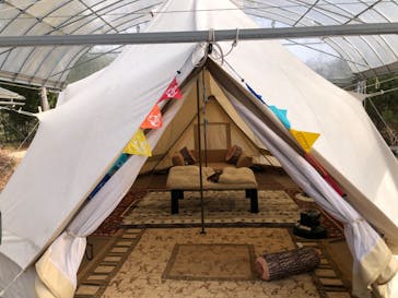 福田フルーツパークに投稿された画像（2020/12/20）