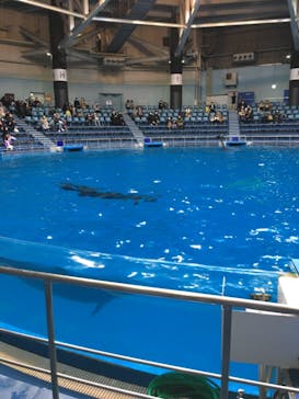 マクセル アクアパーク品川に投稿された画像（2020/12/20）