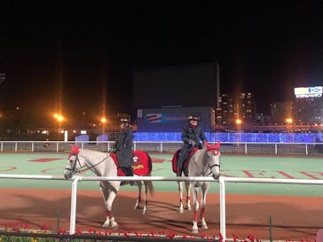 東京メガイルミに投稿された画像（2020/12/20）