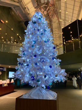 アクアワールド茨城県大洗水族館に投稿された画像（2020/12/20）
