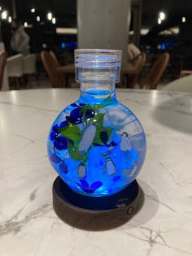 アクアワールド茨城県大洗水族館に投稿された画像（2020/12/20）