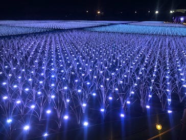 東京メガイルミに投稿された画像（2020/12/20）