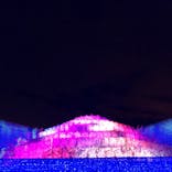 なばなの里に投稿された画像（2020/12/20）