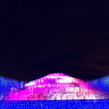 なばなの里に投稿された画像（2020/12/20）