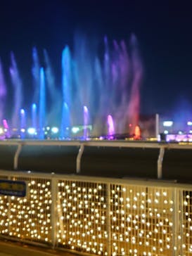 東京メガイルミに投稿された画像（2020/12/20）