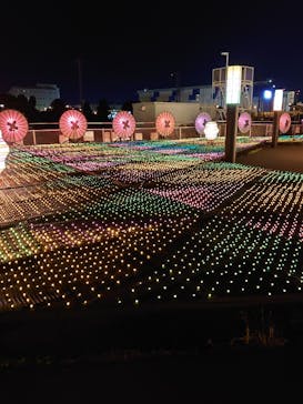 東京メガイルミに投稿された画像（2020/12/20）