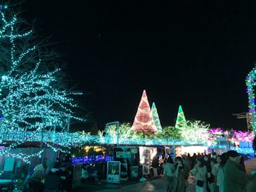 よみうりランド 遊園地に投稿された画像（2020/12/20）