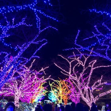 よみうりランド 遊園地に投稿された画像（2020/12/20）