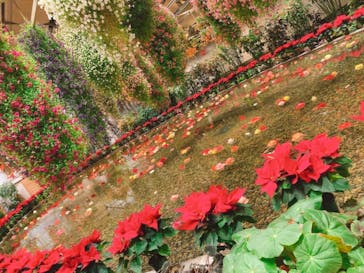 なばなの里に投稿された画像（2020/12/20）