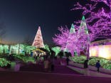 よみうりランド 遊園地に投稿された画像（2020/12/20）
